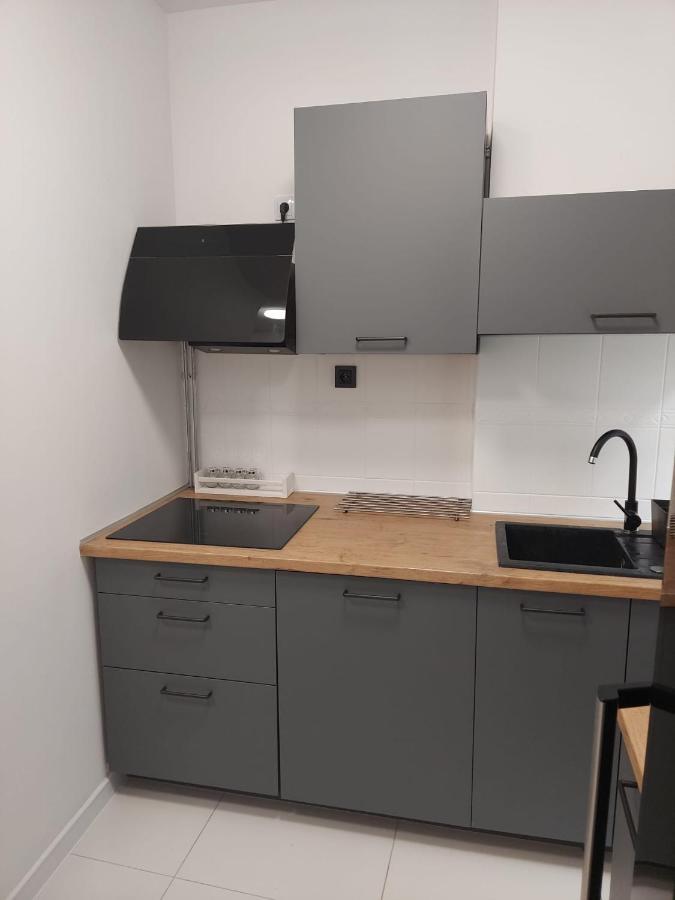 שווידניקה Apartament Na Weekend מראה חיצוני תמונה